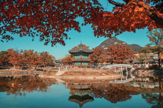 Ghim ngay 12 toạ độ ngắm lá mùa thu tuyệt đẹp ở Hàn Quốc