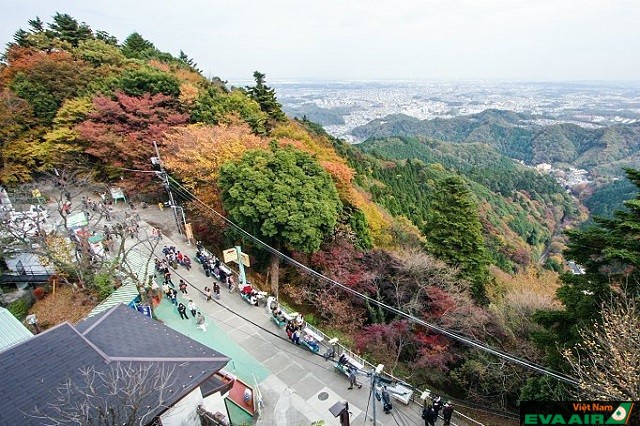 Các điểm du lịch Tokyo tuyệt vời cho những tín đồ thích trekking